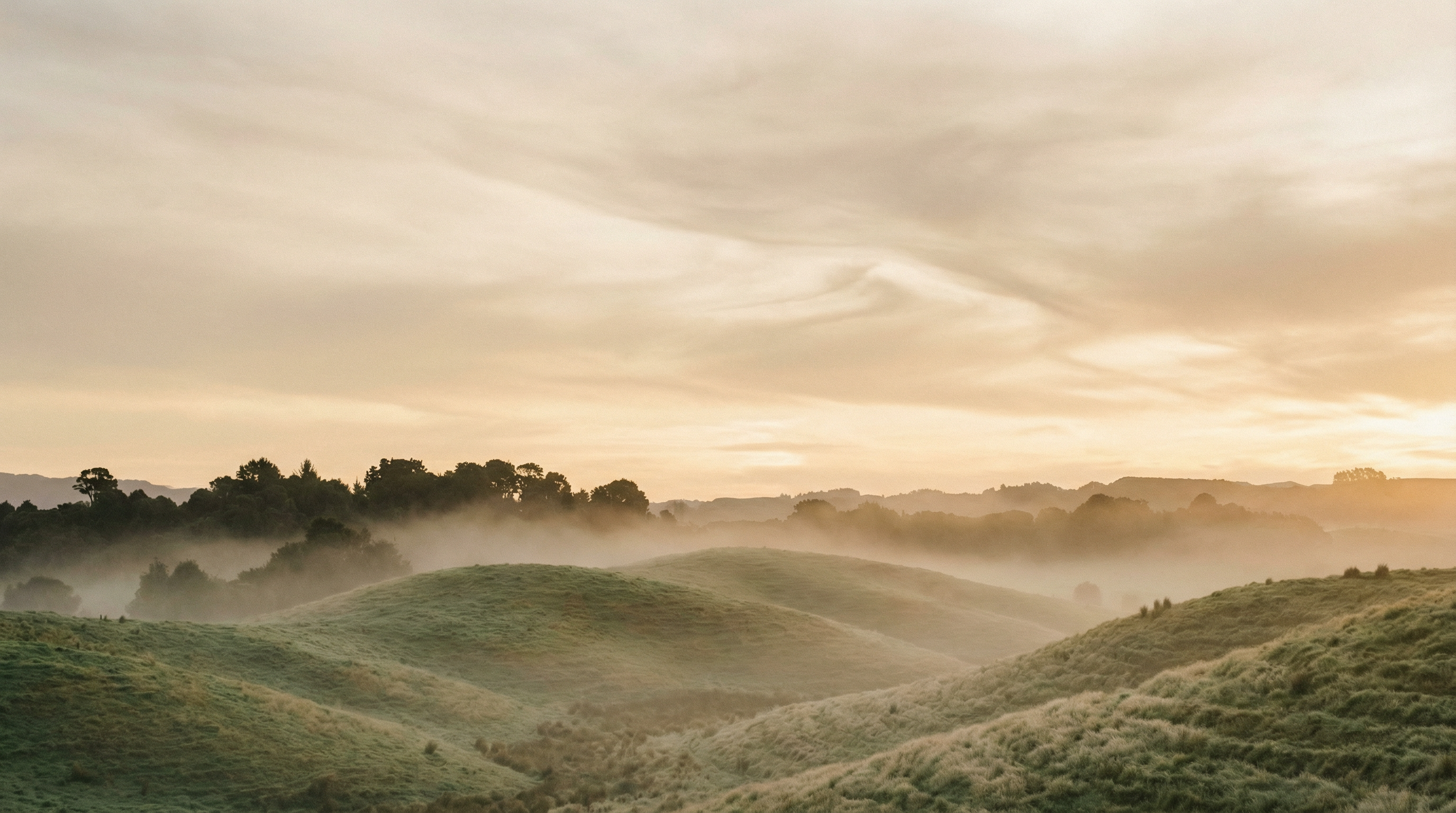 New Zealand landscape at golden hour